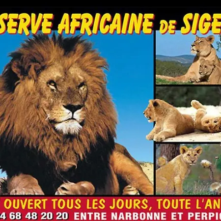 Feriehus La Maison De Jade Le Mabrouka Donne Place Pour La Reserve Africaine Valable Jusqua Fin Septembre (adults Only) *